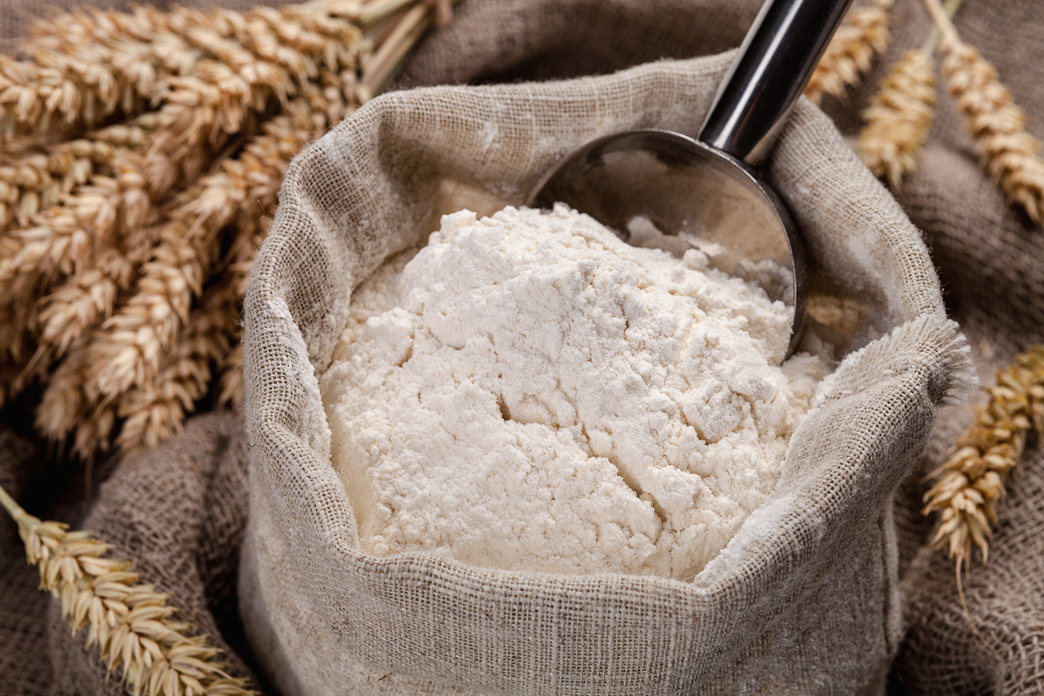 Tipos de harina de trigo y diferentes variantes para su consumo