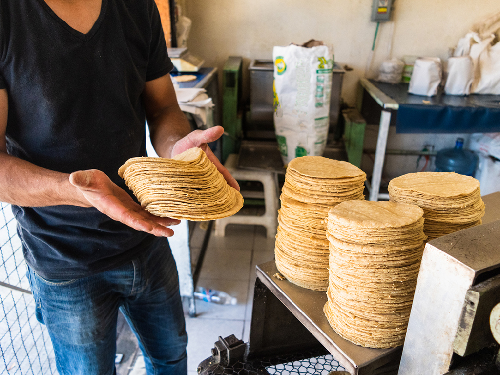 cuanto-dinero-necesito-para-poner-una-tortilleria.jpg