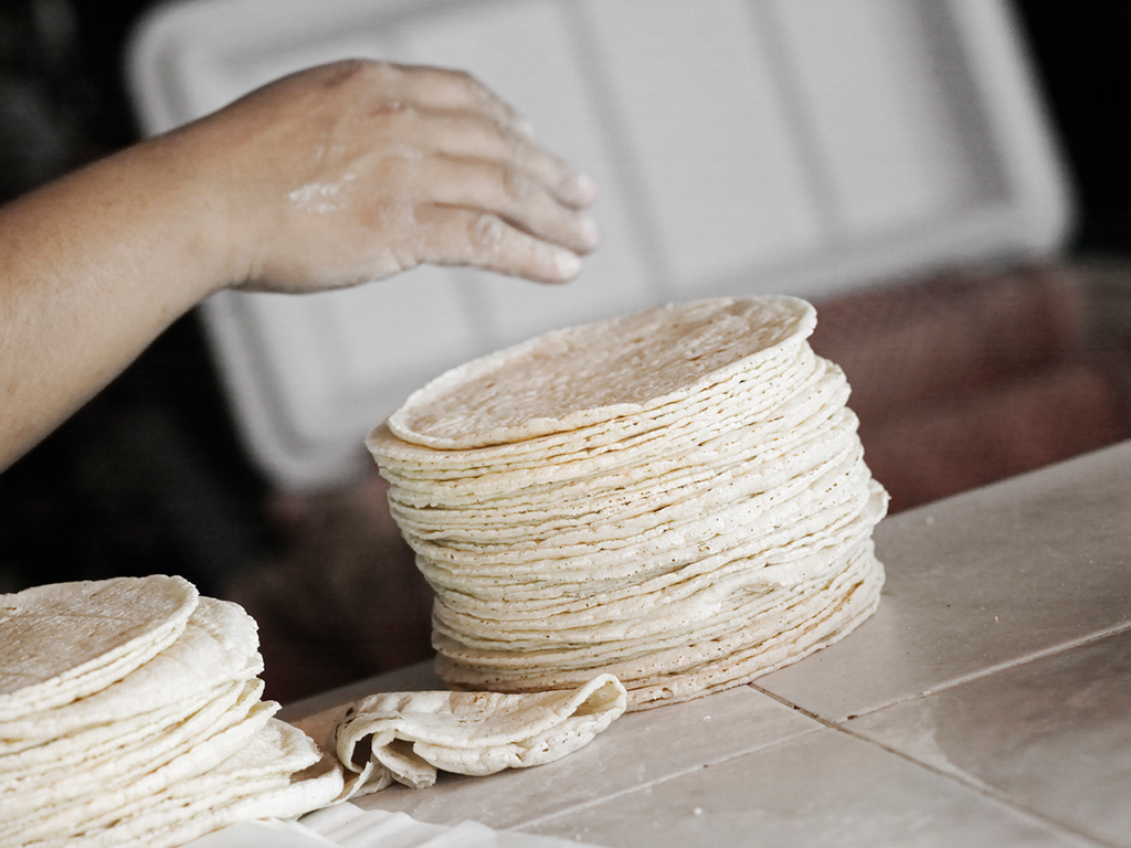 Cómo se fabrican las tortillas y qué considerar? | TIA