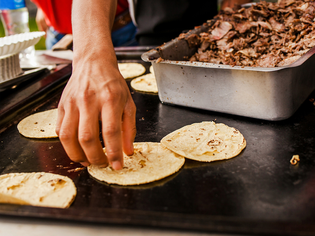 Medidas de tortillas: ¿cuál conviene preparar en tu negocio? | TIA