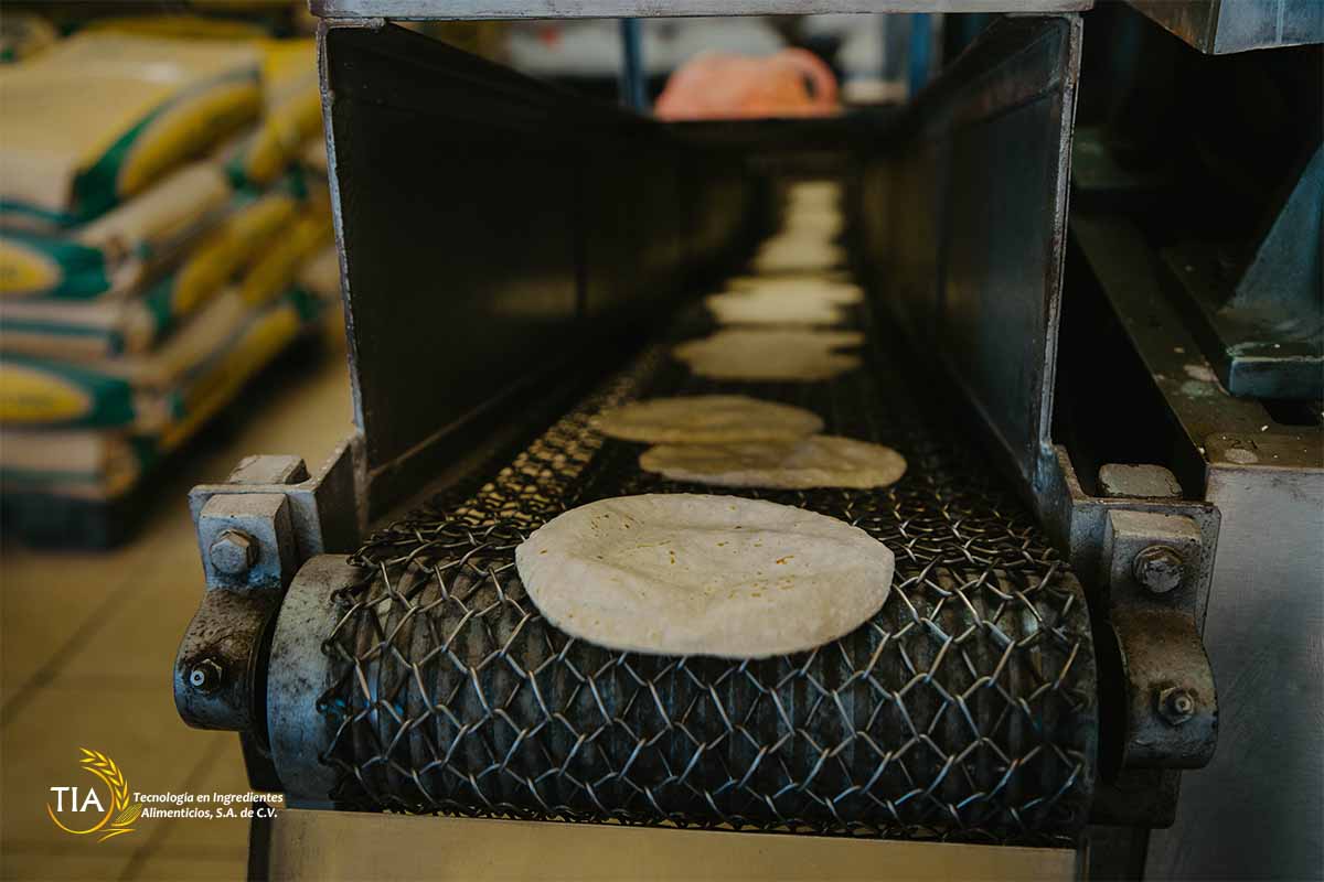 Tortillas mexicanas (salen perfectas)