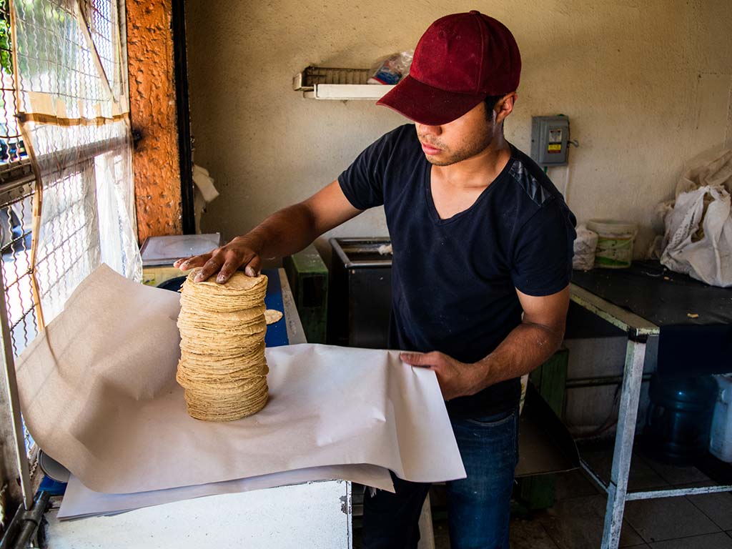 como-se-envuelven-las-tortillas.jpg